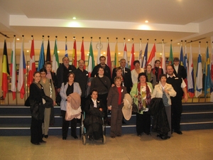 2008.01.11 Brüsszel Civil Egyesületek